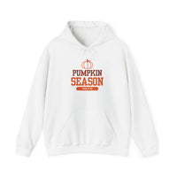 Cozy Pumpkin Season Hoodie, Fall Sweatshirt, Autumn Apparel, Halloween Gift, Unisex Pumpkin Pullover