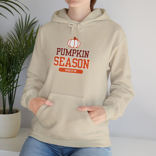 Cozy Pumpkin Season Hoodie, Fall Sweatshirt, Autumn Apparel, Halloween Gift, Unisex Pumpkin Pullover