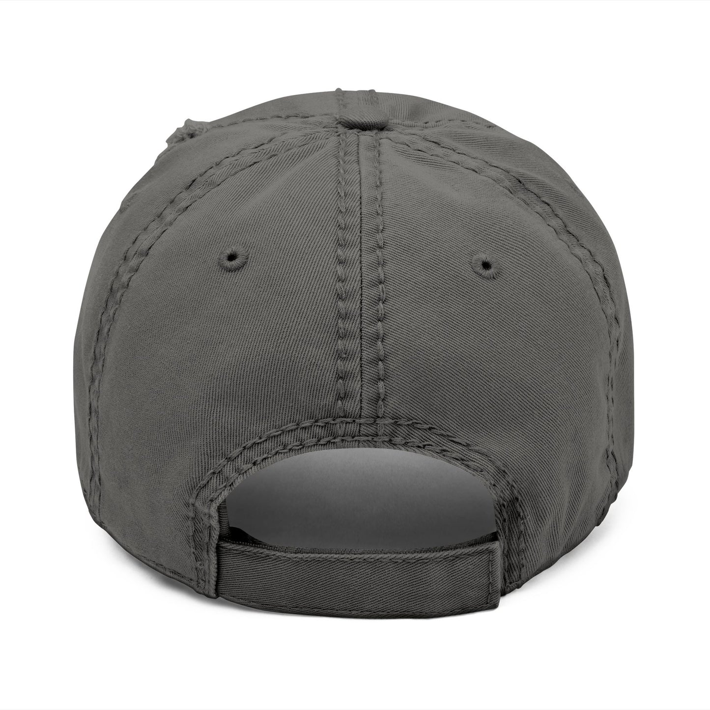 Absolutely Not Embroidered Distressed Hat