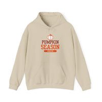 Cozy Pumpkin Season Hoodie, Fall Sweatshirt, Autumn Apparel, Halloween Gift, Unisex Pumpkin Pullover