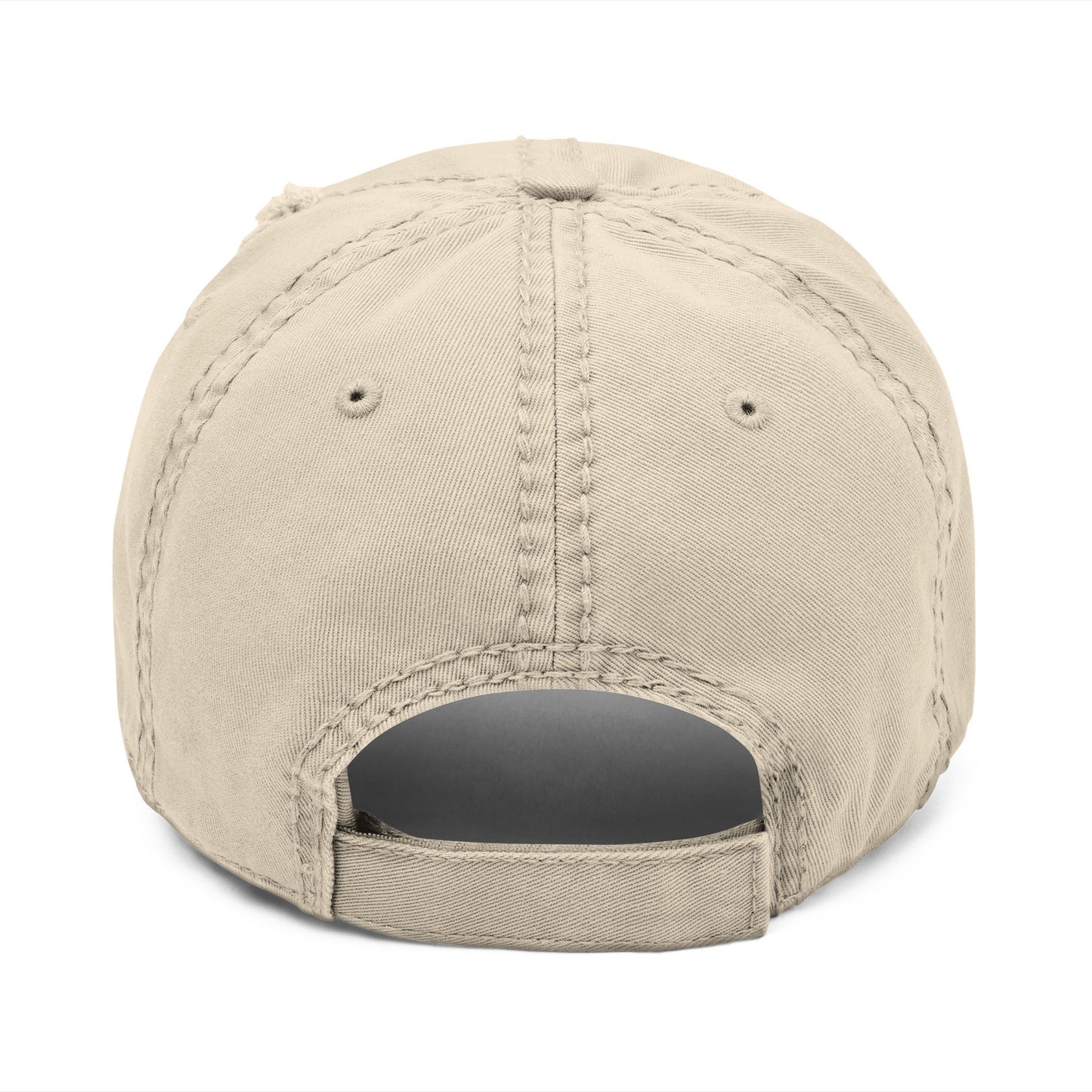 Absolutely Not Embroidered Distressed Hat